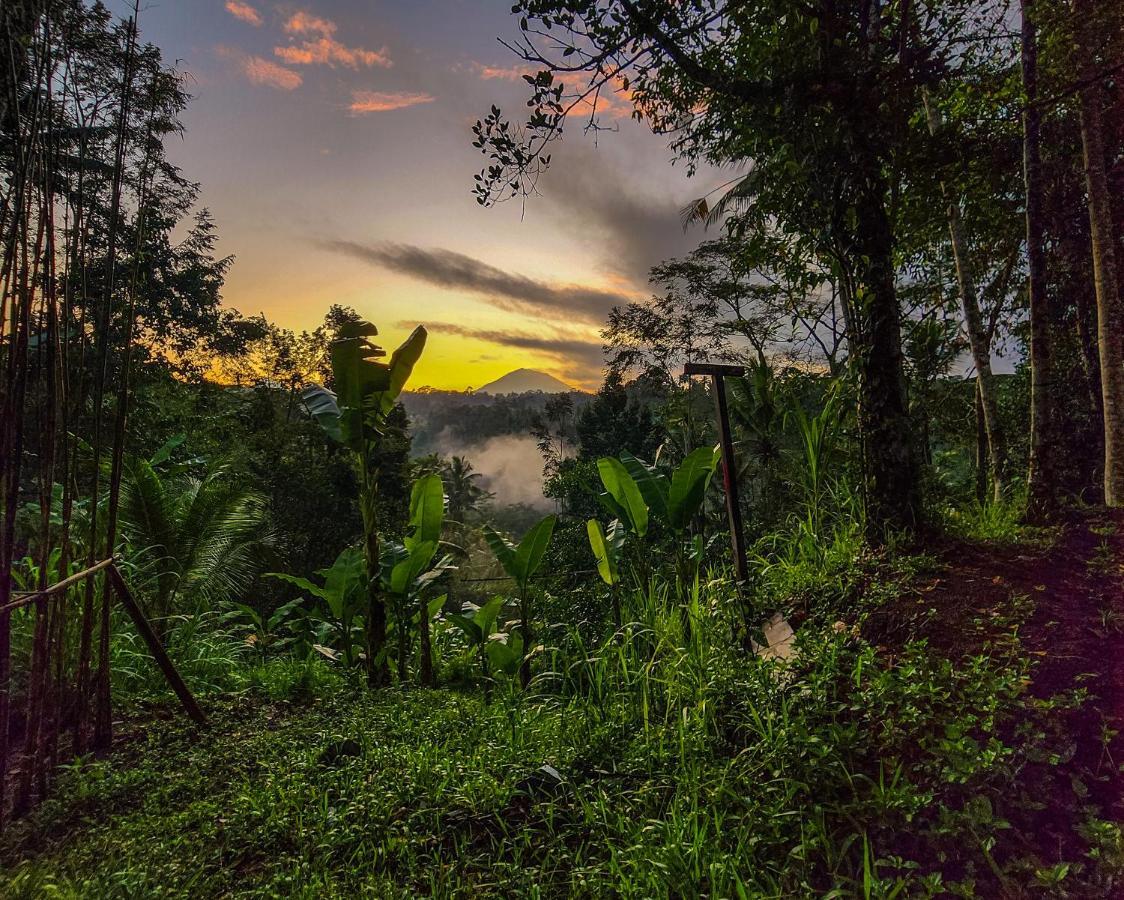 Delta Casa Ubud-Cozy Tropical Villas With Volcano View Payangan Exteriér fotografie