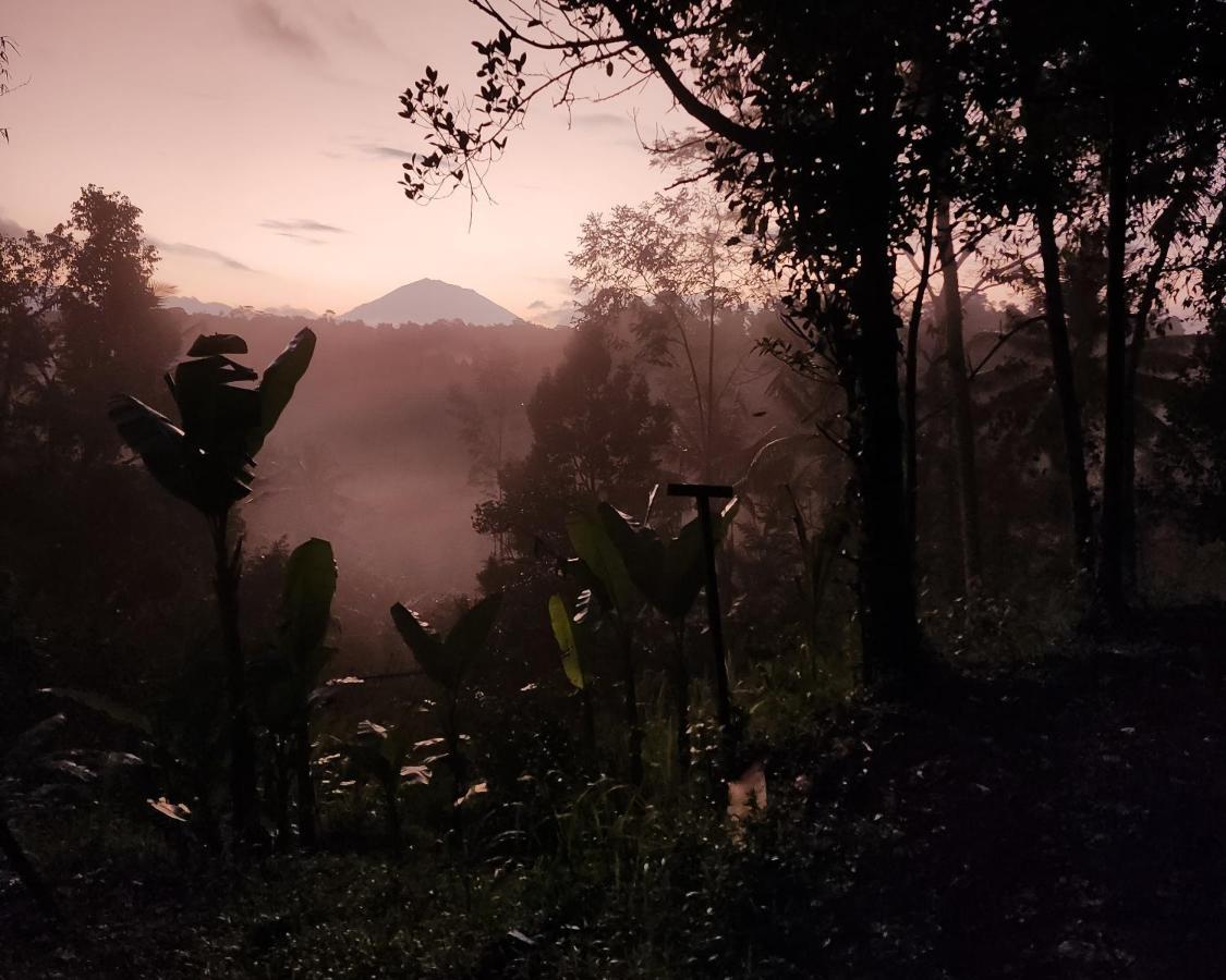 Delta Casa Ubud-Cozy Tropical Villas With Volcano View Payangan Exteriér fotografie