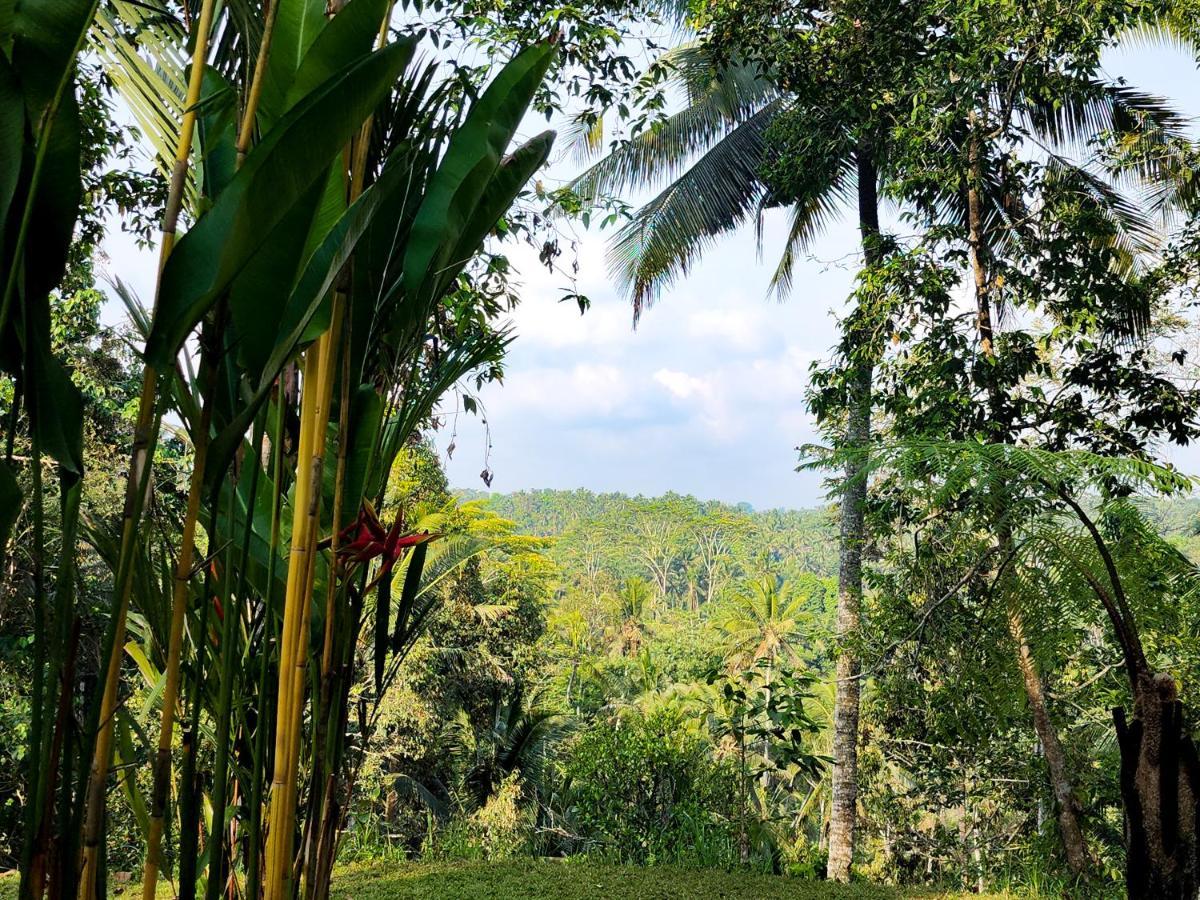 Delta Casa Ubud-Cozy Tropical Villas With Volcano View Payangan Exteriér fotografie