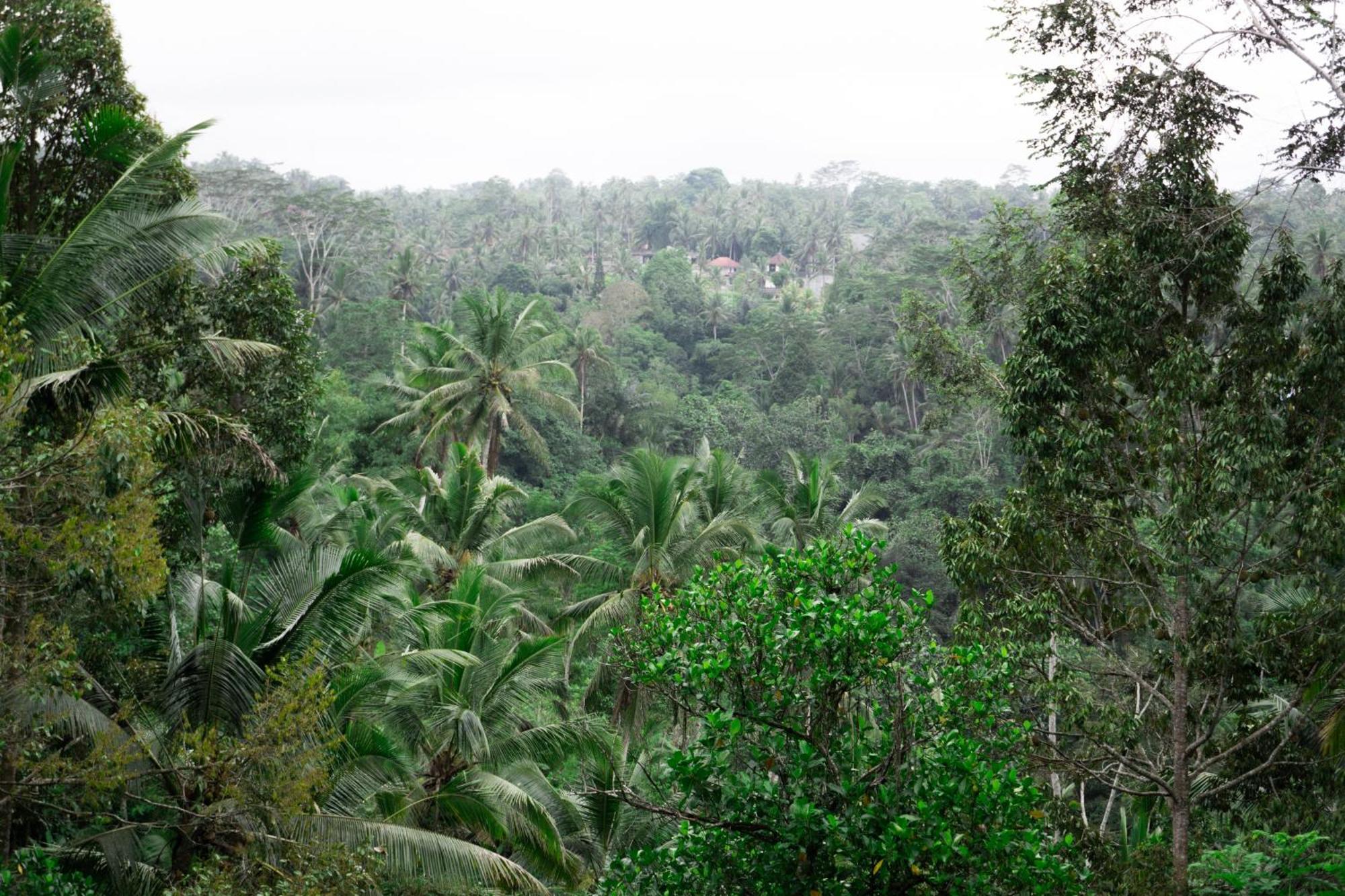 Delta Casa Ubud-Cozy Tropical Villas With Volcano View Payangan Exteriér fotografie